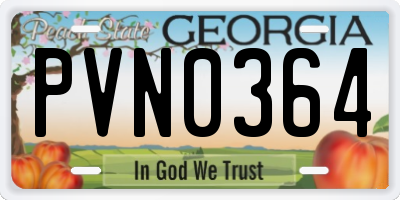 GA license plate PVN0364