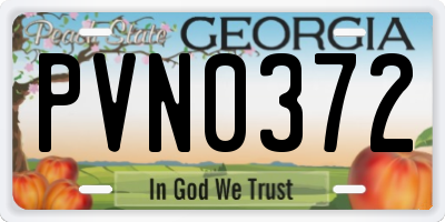 GA license plate PVN0372