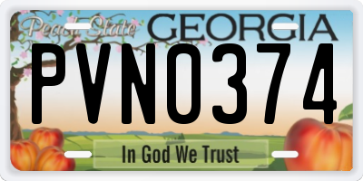 GA license plate PVN0374