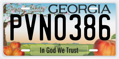 GA license plate PVN0386