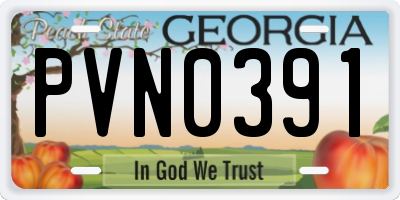 GA license plate PVN0391