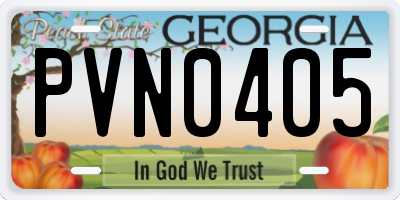 GA license plate PVN0405