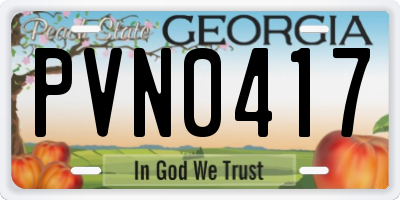 GA license plate PVN0417