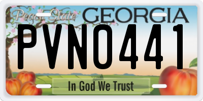 GA license plate PVN0441