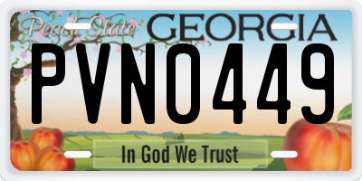 GA license plate PVN0449