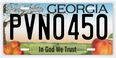 GA license plate PVN0450