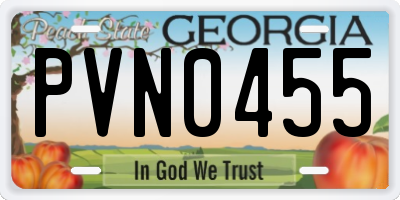 GA license plate PVN0455