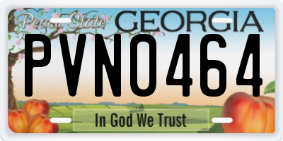 GA license plate PVN0464