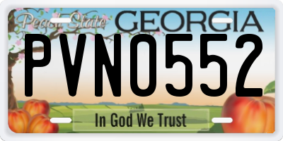 GA license plate PVN0552