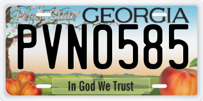 GA license plate PVN0585