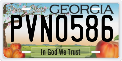 GA license plate PVN0586