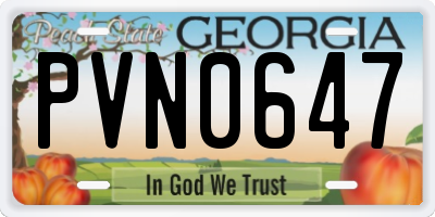 GA license plate PVN0647