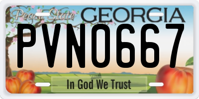 GA license plate PVN0667