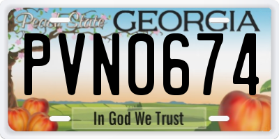 GA license plate PVN0674