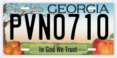 GA license plate PVN0710