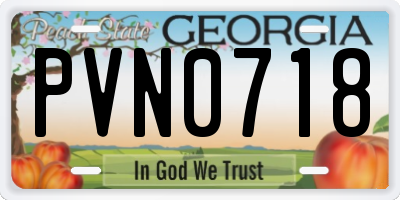 GA license plate PVN0718