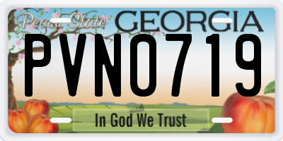 GA license plate PVN0719