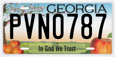 GA license plate PVN0787