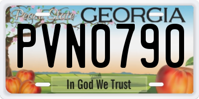 GA license plate PVN0790