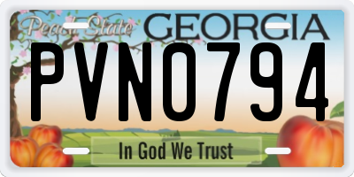 GA license plate PVN0794
