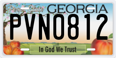 GA license plate PVN0812