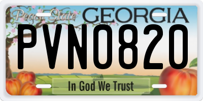 GA license plate PVN0820