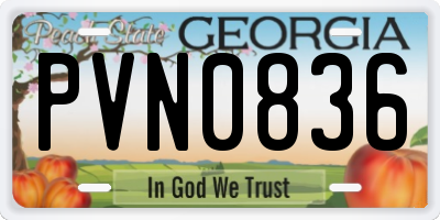 GA license plate PVN0836