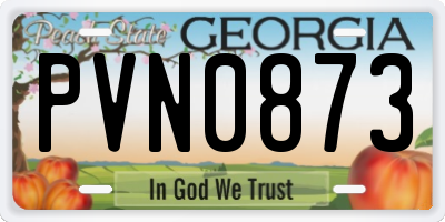 GA license plate PVN0873