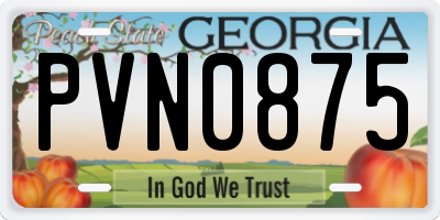 GA license plate PVN0875