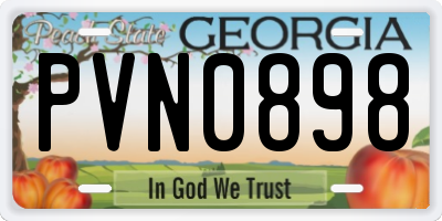 GA license plate PVN0898