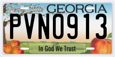 GA license plate PVN0913