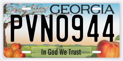 GA license plate PVN0944