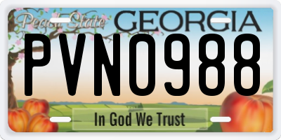 GA license plate PVN0988