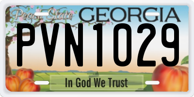 GA license plate PVN1029