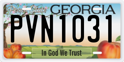 GA license plate PVN1031