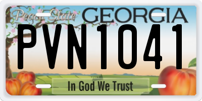GA license plate PVN1041