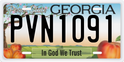 GA license plate PVN1091