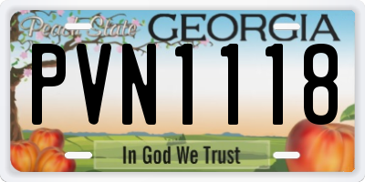 GA license plate PVN1118
