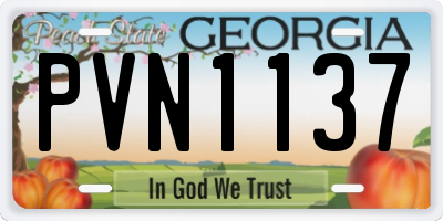 GA license plate PVN1137