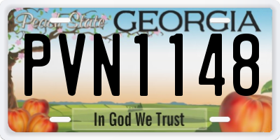 GA license plate PVN1148