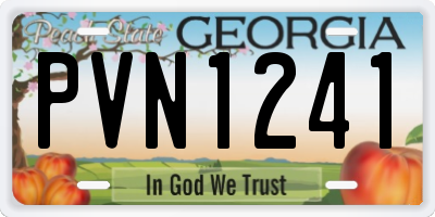 GA license plate PVN1241