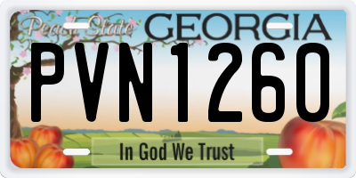 GA license plate PVN1260