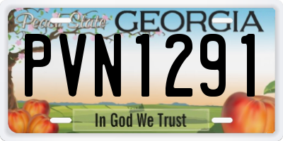 GA license plate PVN1291