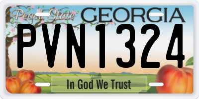 GA license plate PVN1324