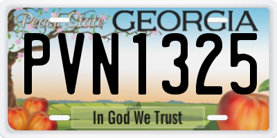 GA license plate PVN1325