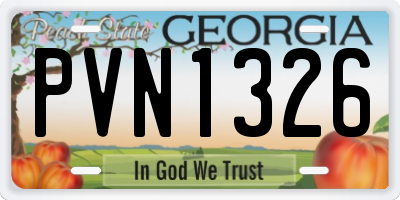 GA license plate PVN1326