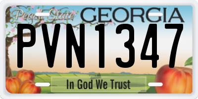 GA license plate PVN1347