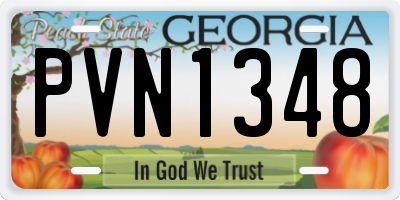 GA license plate PVN1348