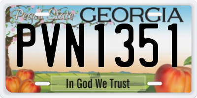 GA license plate PVN1351