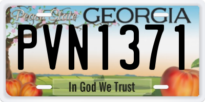 GA license plate PVN1371